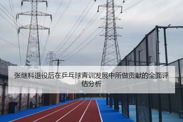 张继科退役后在乒乓球青训发展中所做贡献的全面评估分析 | WANBO SPORTS